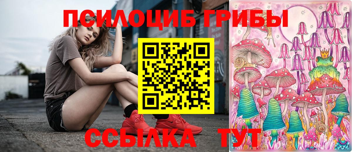Галлюциногенные грибы мухоморы  Галлюциногенные грибы MAGIC MUSHROOMS  Вход с VPN  Курчалой 