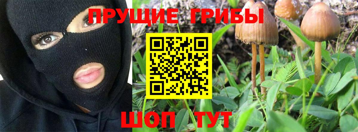 Псилоцибиновые грибы GOLDEN TEACHER  Курчалой 