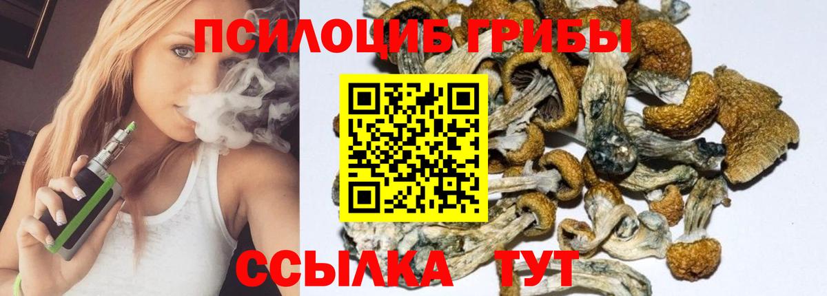 Псилоцибиновые грибы мицелий Курчалой